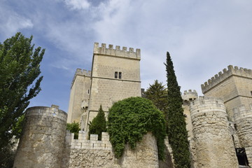 Castillo de Ampudia (Palencia). Vista de las torres