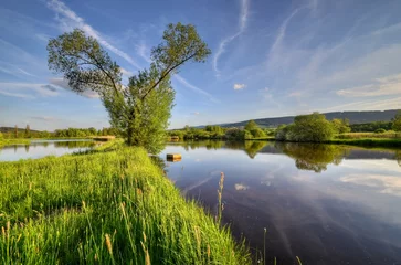 Fototapeten on the dike between ponds © harydom