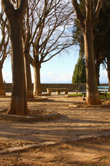 city park