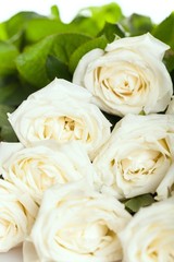 Wedding, Rose, Flower.