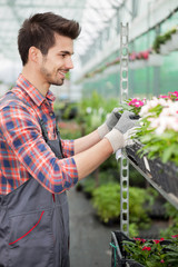  young florist man working with flowers at a greenhouse