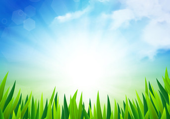 Obraz premium Sunny summer background