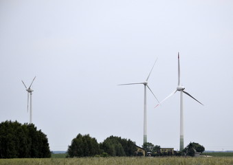 elektrownie wiatrowe © Senatorek