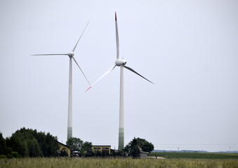 elektrownie wiatrowe © Senatorek