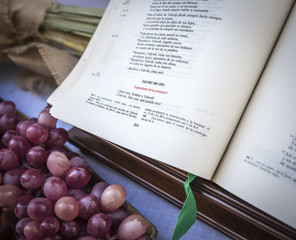 Spanish holy Bible - old Testament, and grapes