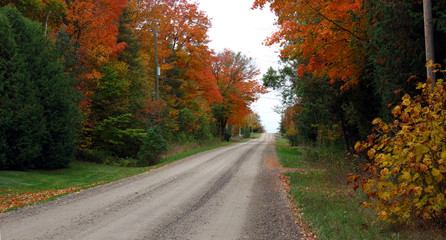 Obraz premium Unpaved country road through the autumn trees.