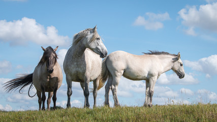 La famille