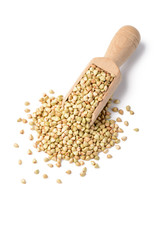 buckwheat