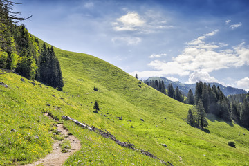 Path to Jaegerkamp Bavaria Alps