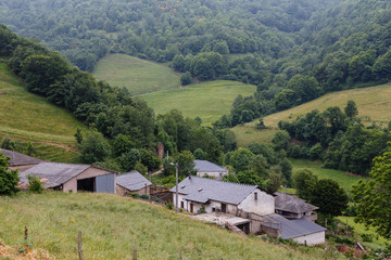 Arbas en el valle de Leitariegos, Asturias