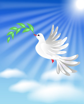 Flying white dove with green branch