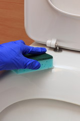 Hand of woman in blue glove cleaning toilet bowl