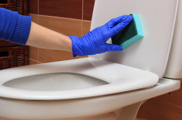 Hand of woman in blue glove cleaning toilet bowl