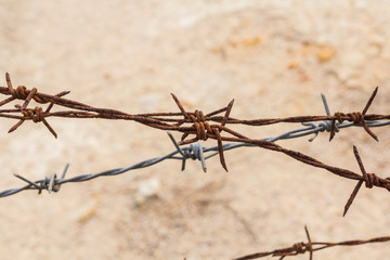 Barbed wire  old aged detailed weathered isolated