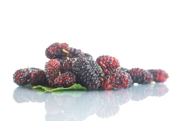 mulberry