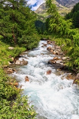 Fototapeta na wymiar Torrente Noce - Alpine stream on summer