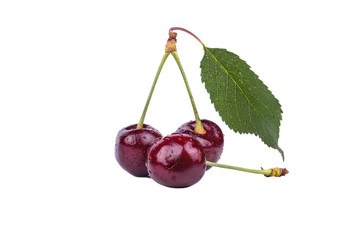 Cherries with leaves