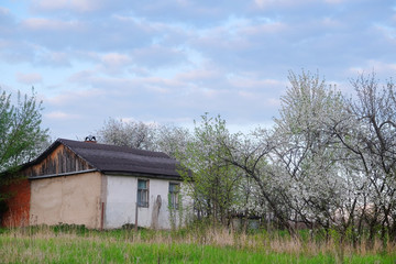 Landscape with the image of a country houses