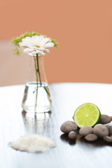 Spa composition. Salt Lime Flower and Stones. Body scrub.
