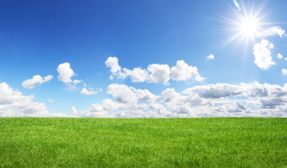 Green field and blue sky
