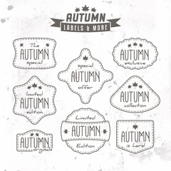 Collection of autumn sales related vintage labels on textured background