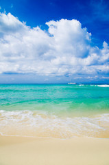  sea