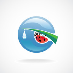 Ladybug on green leaf tip with fresh water drop