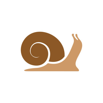 Snail logo template. Simple flat colors silhouette.