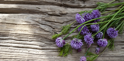 Schnittlauch Blüten auf altem Treibholz Brett / Holz 3