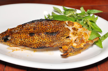 Boxfish