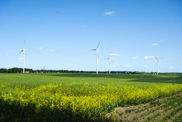 Turbiny wiatrowe, Pelplin © DawidDobosz
