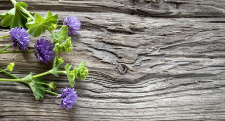 Frauenmantel und Schnittlauch Blüten auf altem Treibholz Brett