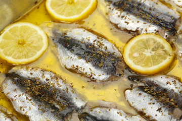 sardines fillet