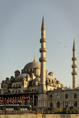 Fototapeta na wymiar New mosque