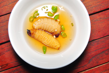 Red Palm Weevil Larva or Coconut worm or Duong dua or sago worm (Rhynchophorus ferrugineus) from Vietnam