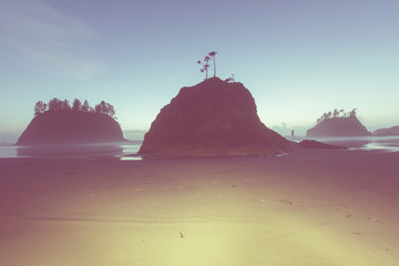 Olympic coast