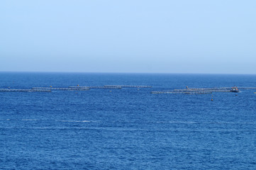 aquaculture face &agrave; St Peter's Pool