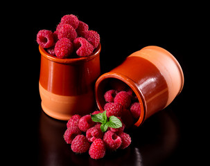 Harvest delicious raspberries in a ceramic pot