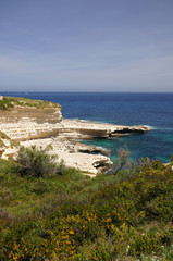 Piscine naturelle de St Peter's Pool