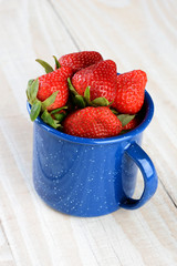 Blue Cup Full of Fresh Picked Ripe Strawberries