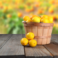 Lemon Basket on Table