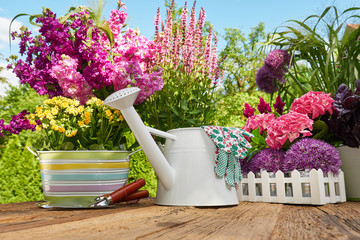 Gardening tools and flowers  on the terrace in the garden