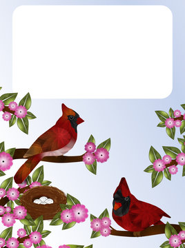 Pair of Cardinals and Nest with Eggs
