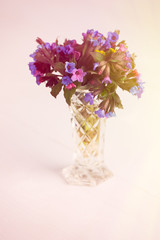 A ground glass vase full of pulmonaria flowers on white backgrou