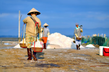 Women are working very hard to collect salt from the extract fields to the storage house