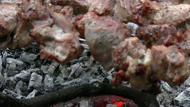 grilled meat 12/Skewers of pork