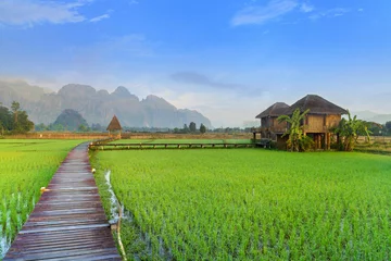 Rolgordijnen Vang Vieng, Laos © Naypong Studio