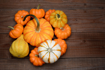 Pile of Gourds and Pumpkins