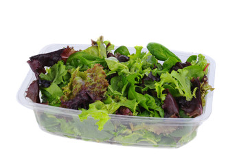 Fresh Greens in Plastic Tub