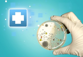Petri, dish, enterococcus.